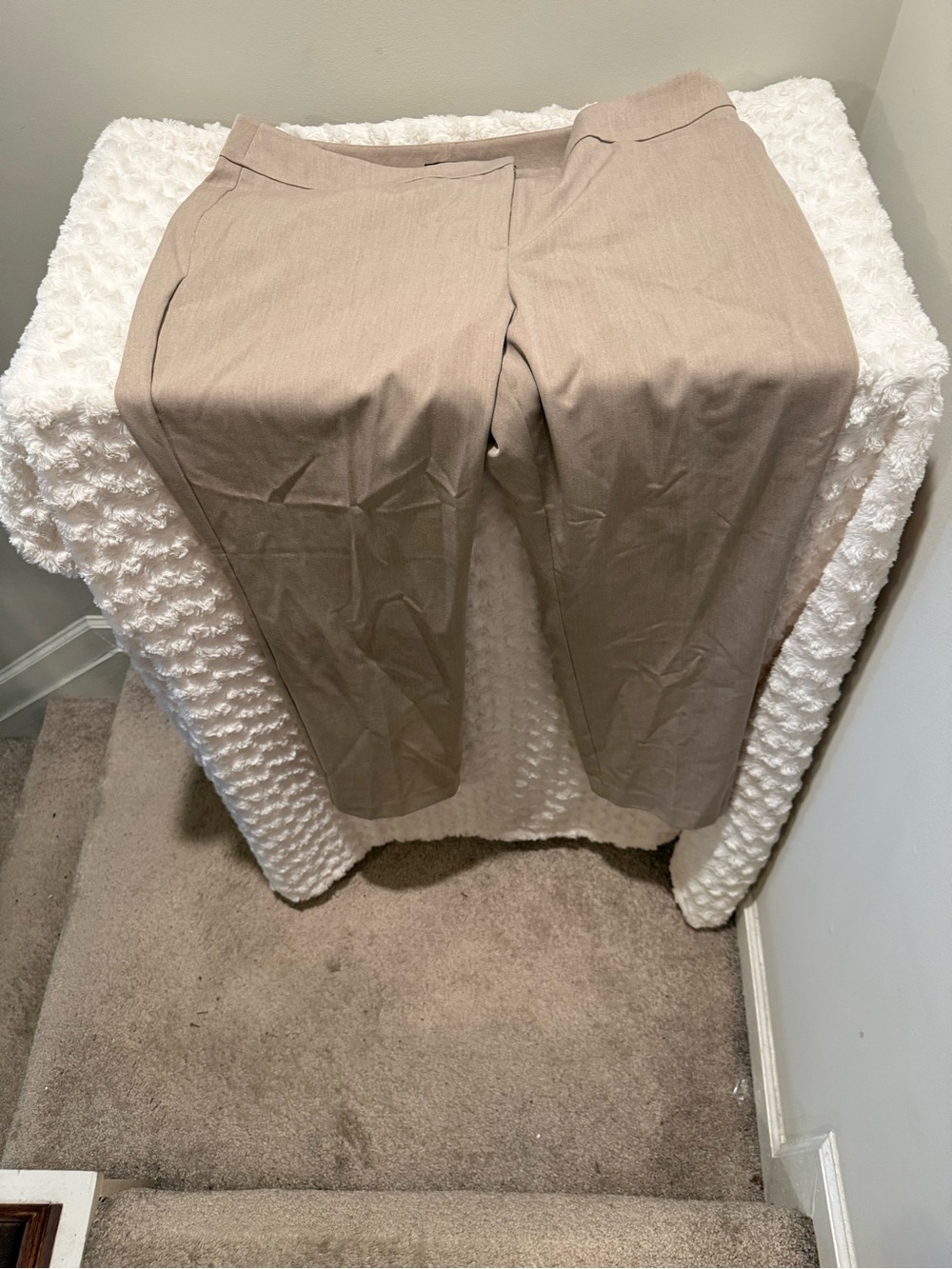 Ann Taylor Factory Neutral Taupe Dress Pants